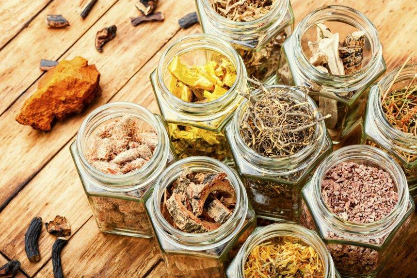 Medicinal herbs in herbal medicine